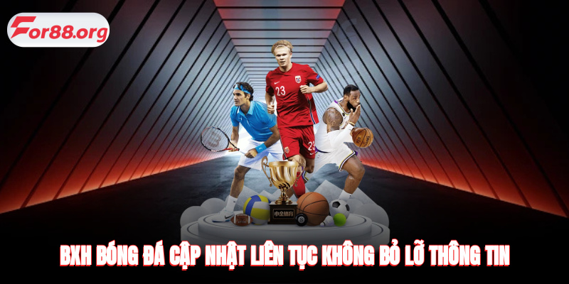 BXH bóng đá cập nhật liên tục, không bỏ lỡ thông tin yêu thích