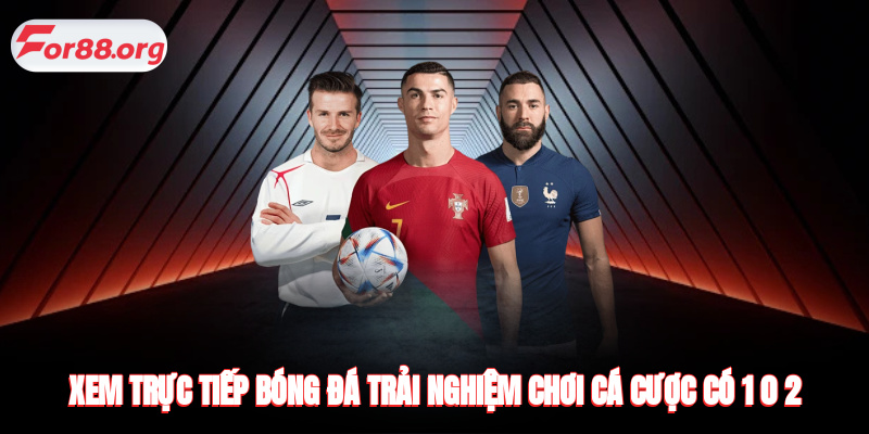 Xem Trực Tiếp Bóng Đá - Trải Nghiệm Chơi Cá Cược Có 1 0 2
